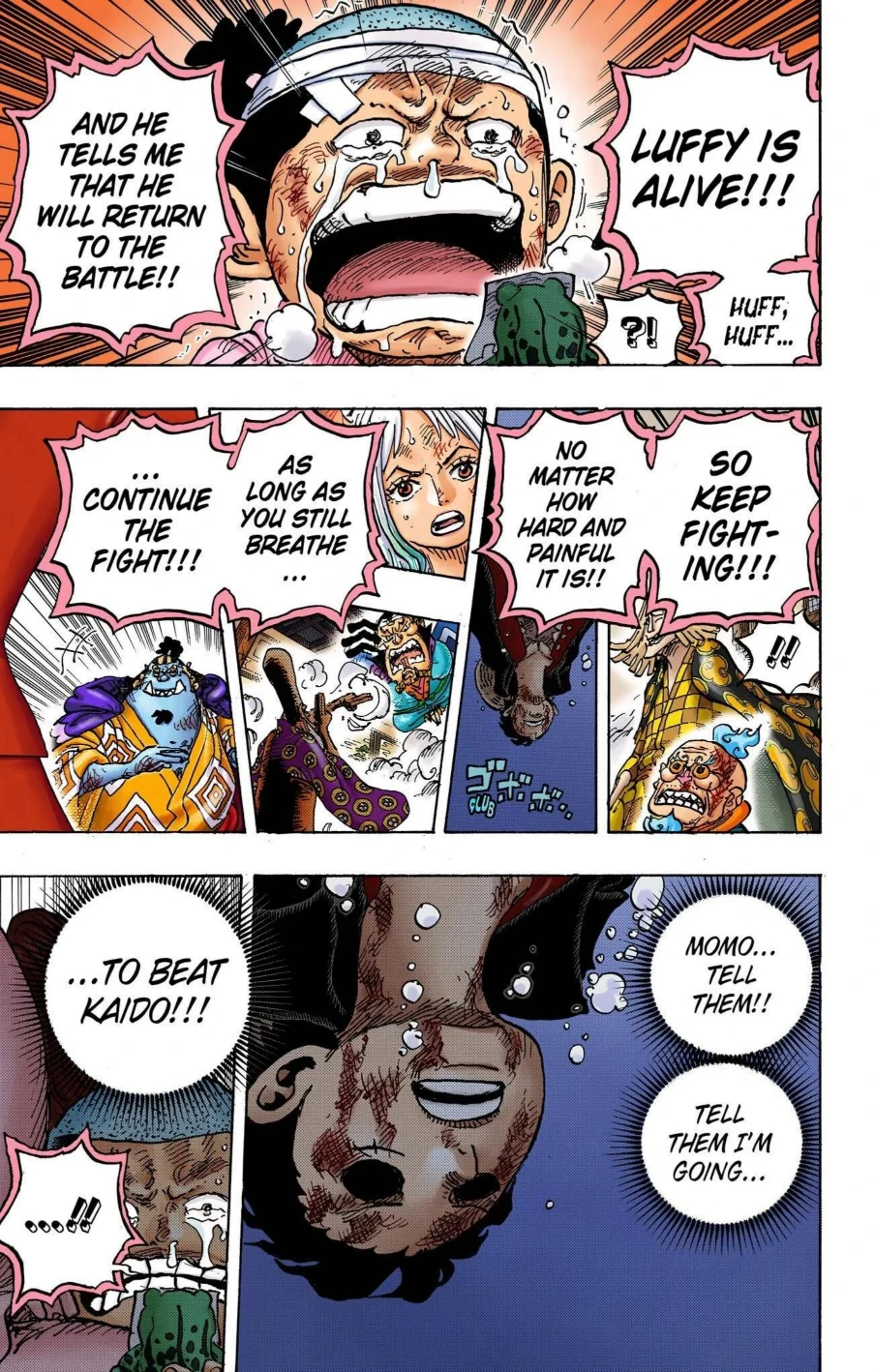 One Piece Volume 100 Page 171