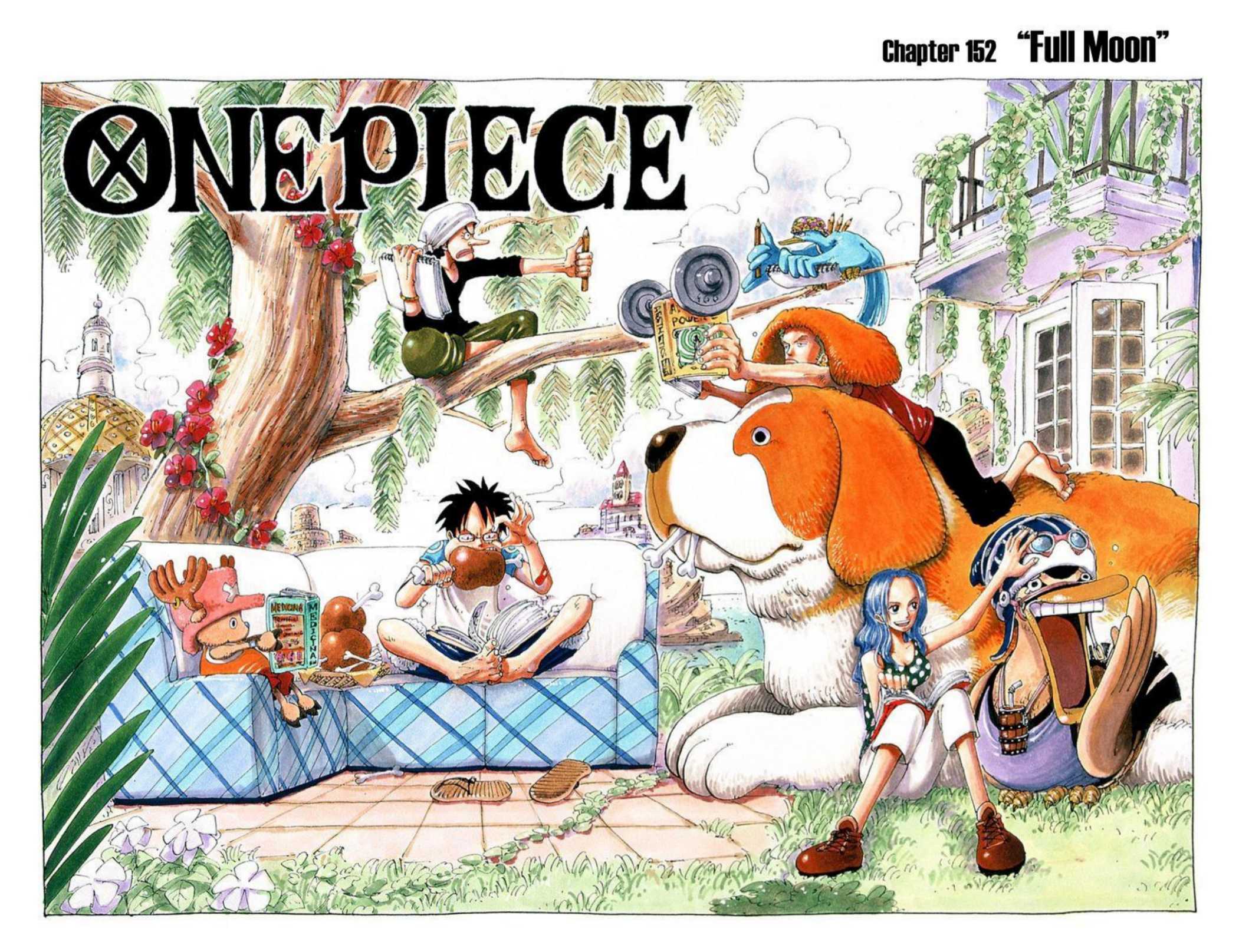 One Piece Volume 17 Page 114