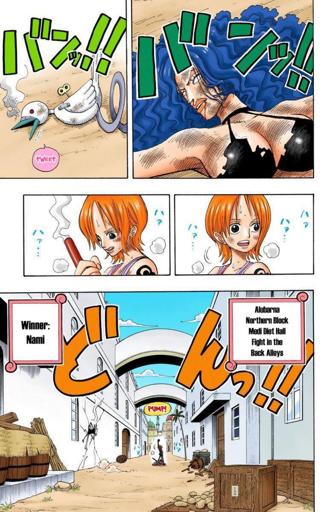 One Piece Volume 21 Page 119