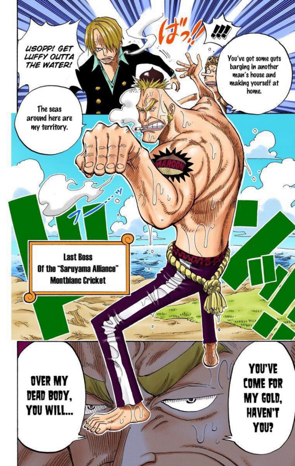 One Piece Volume 25 Page 14