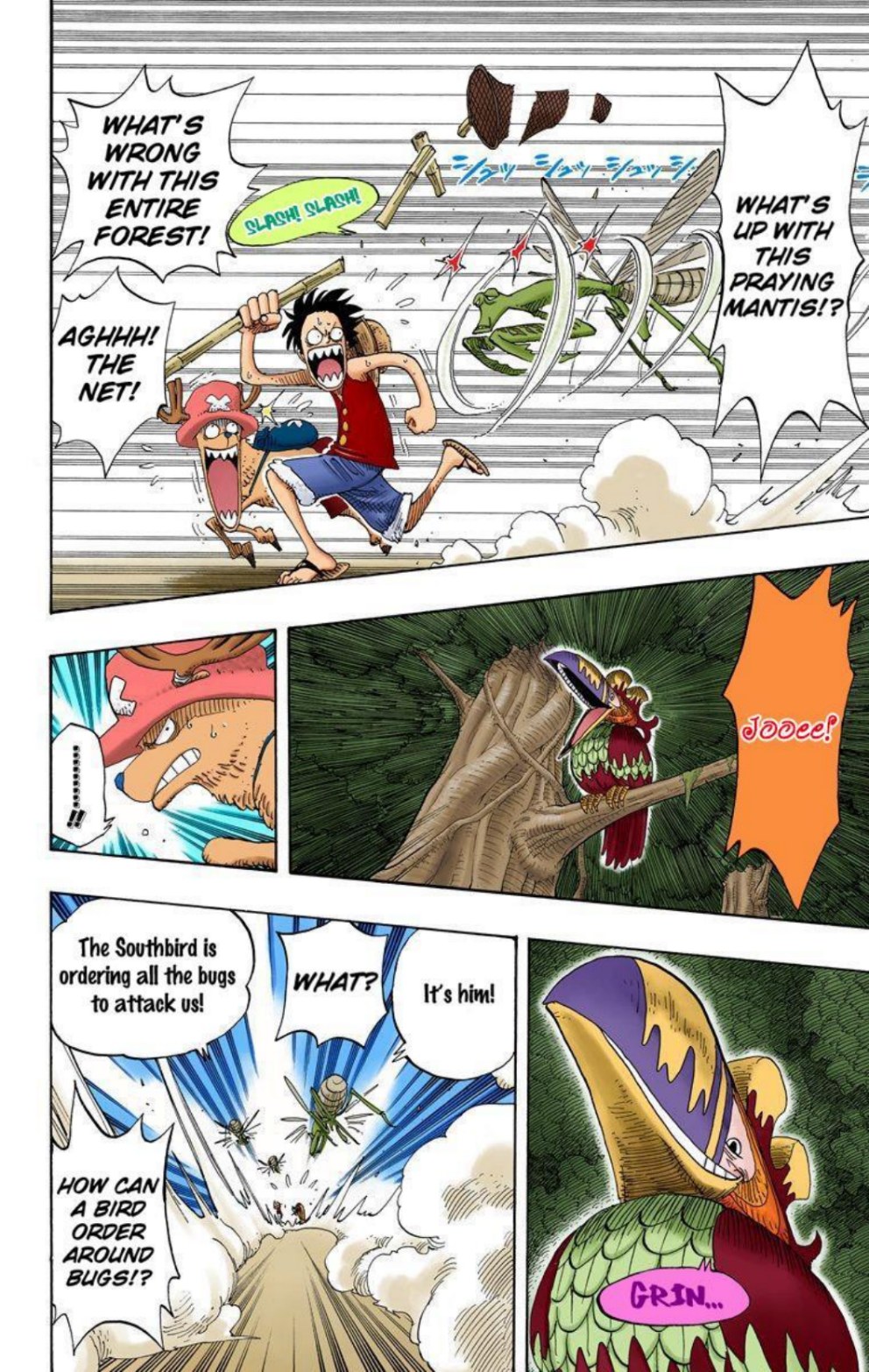 One Piece Volume 25 Page 80