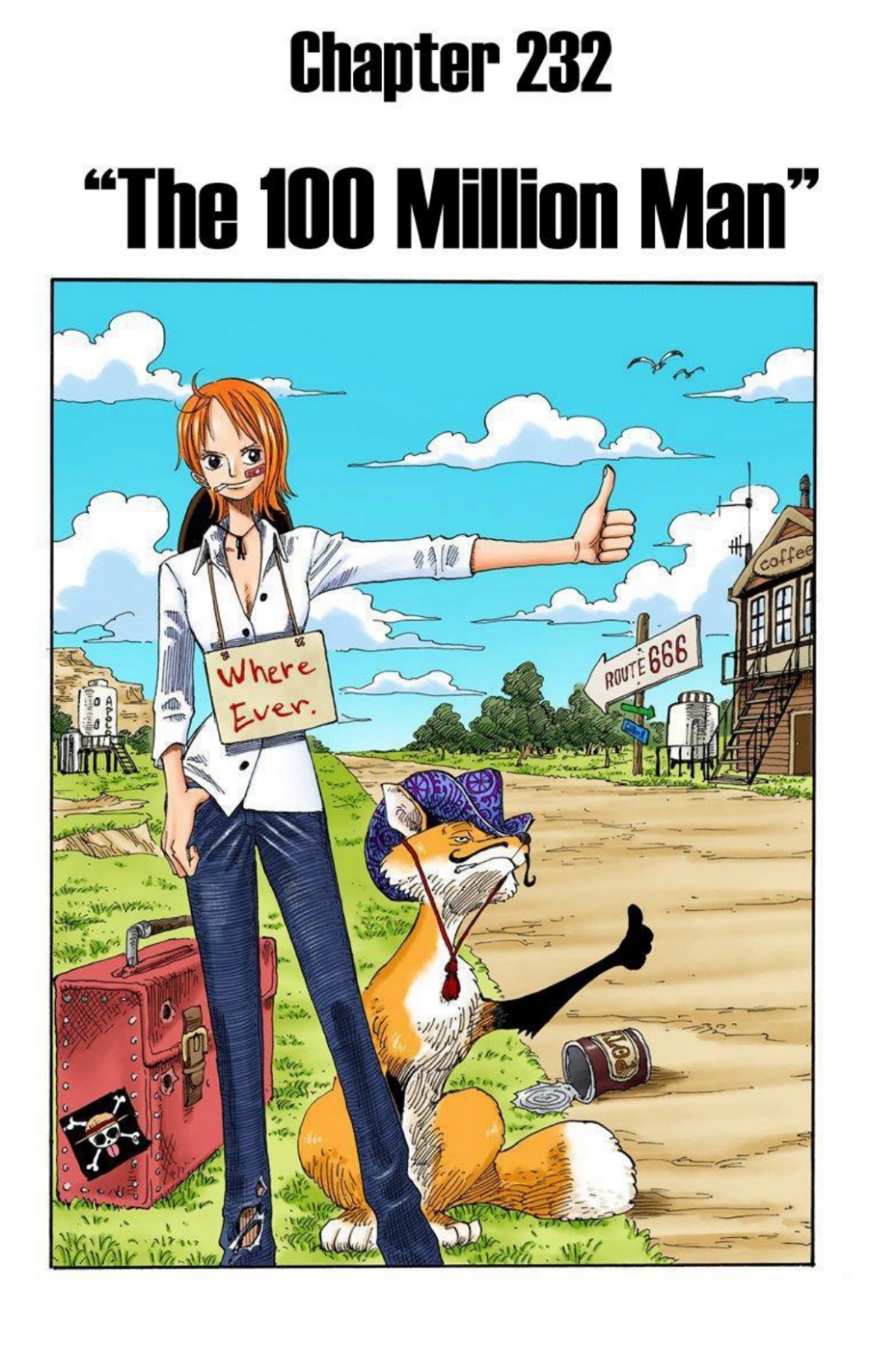 One Piece Volume 25 Page 96