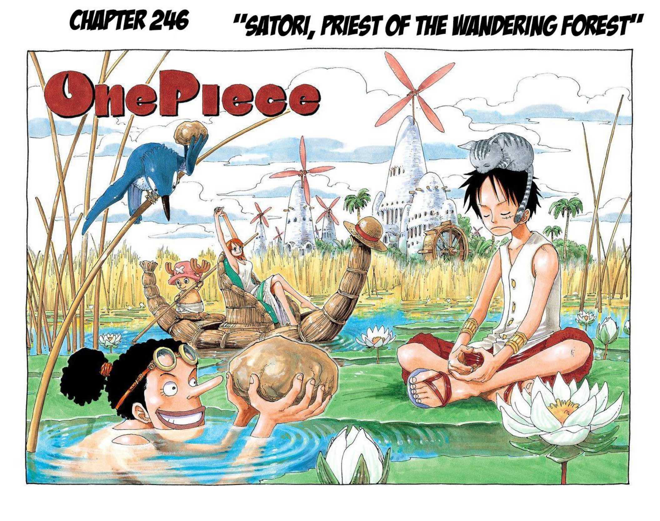 One Piece Volume 26 Page 155