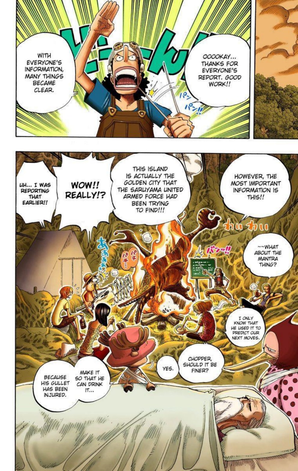 One Piece Volume 27 Page 110