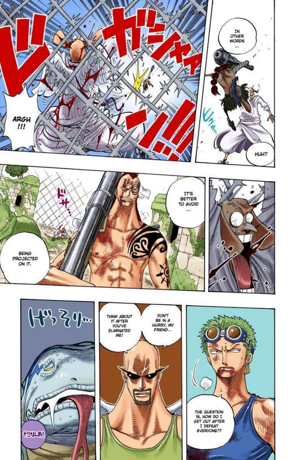 One Piece Volume 29 Page 100