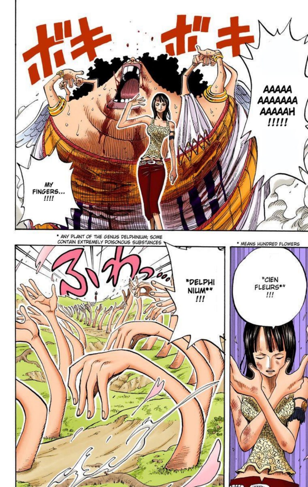 One Piece Volume 29 Page 17