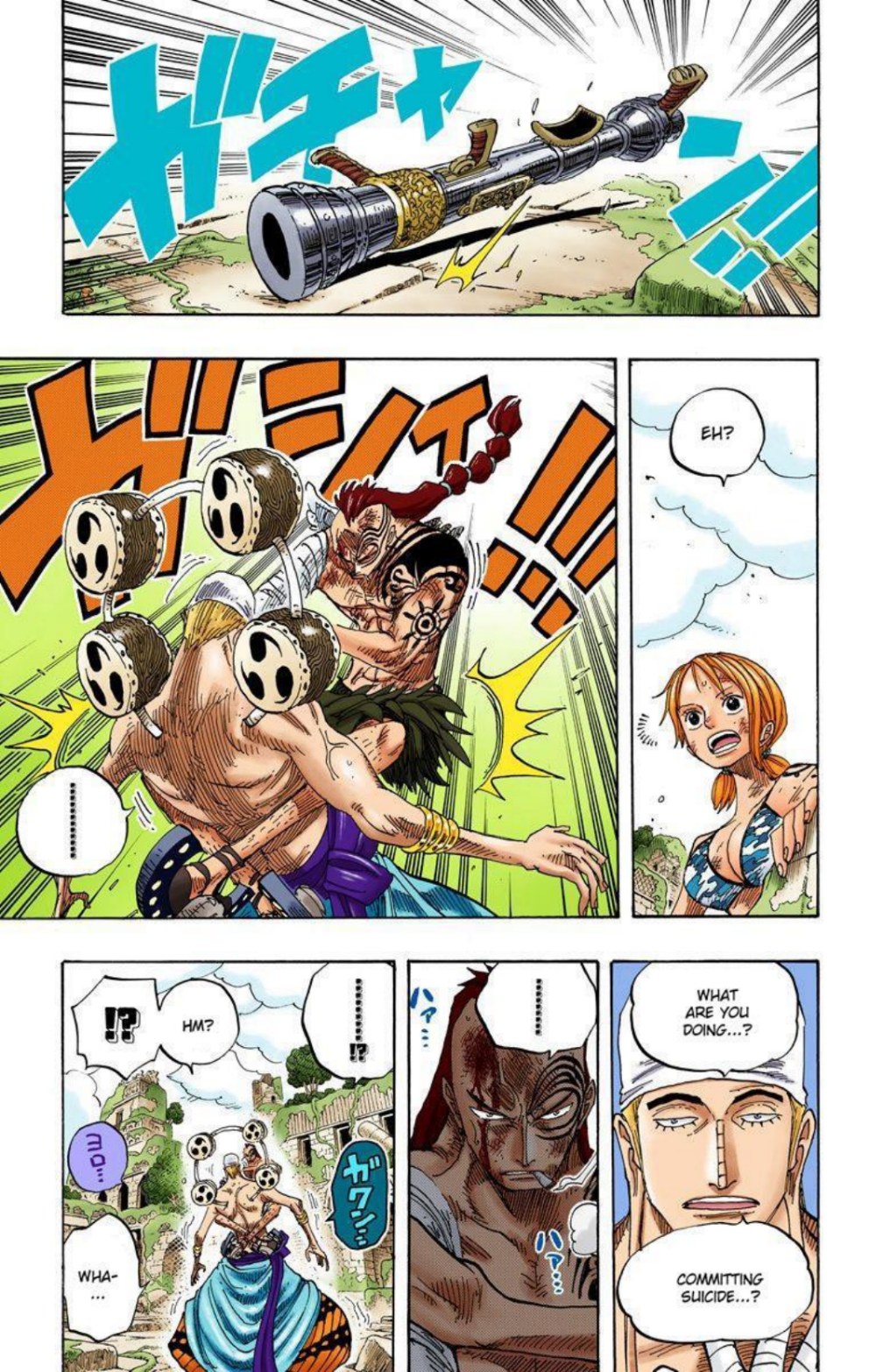 One Piece Volume 29 Page 197