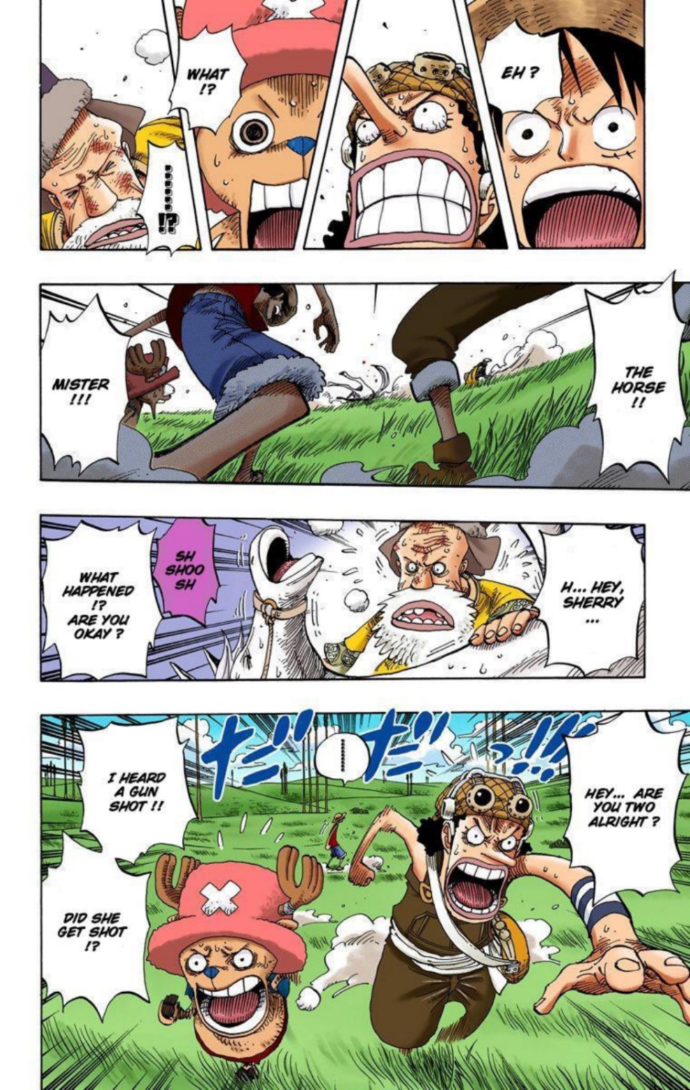 One Piece Volume 32 Page 170