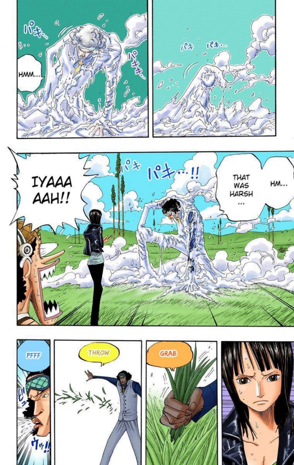 One Piece Volume 34 Page 64