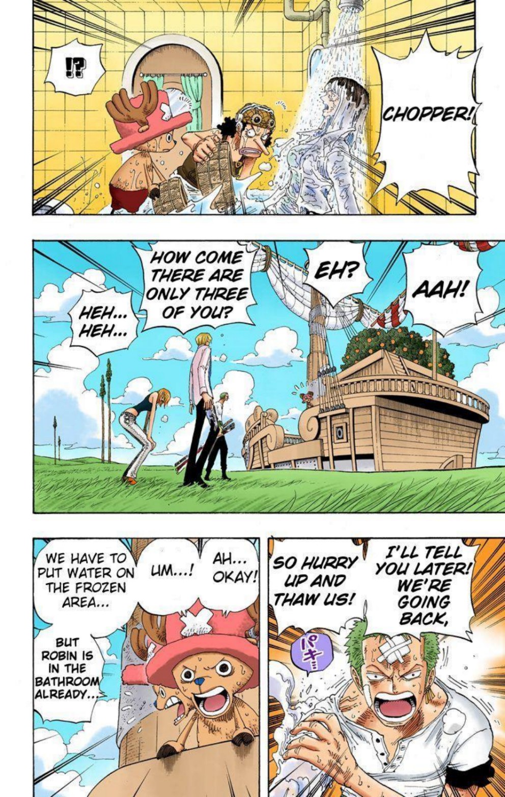 One Piece Volume 34 Page 79