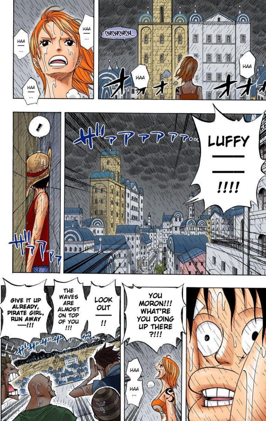 One Piece Volume 38 Page 101