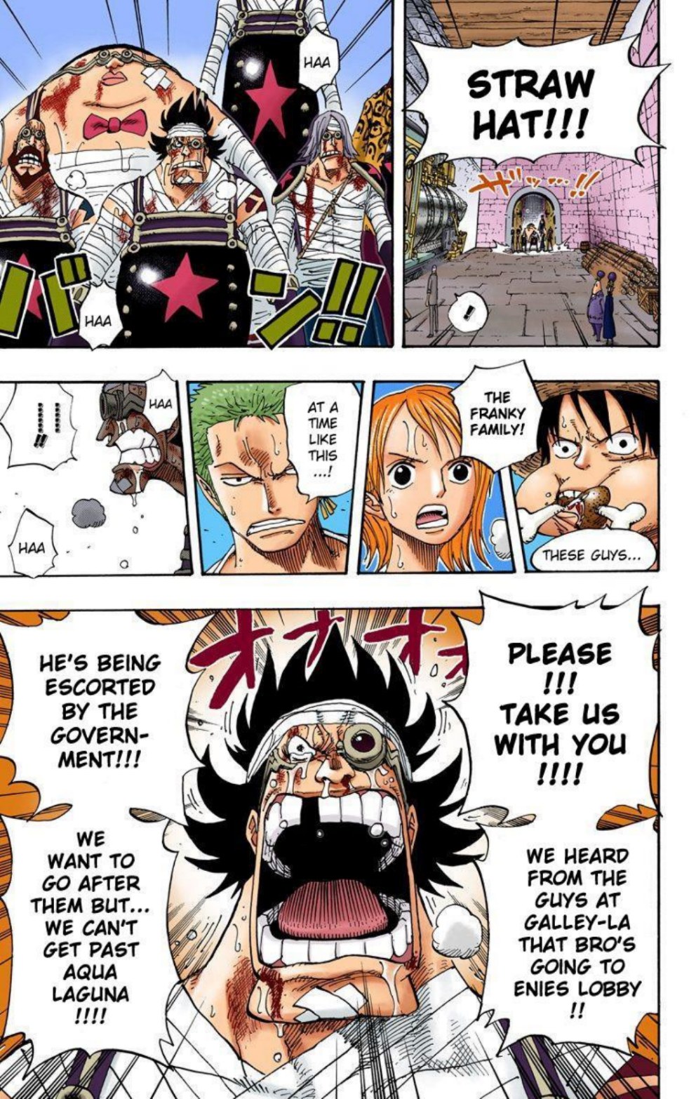 One Piece Volume 38 Page 142
