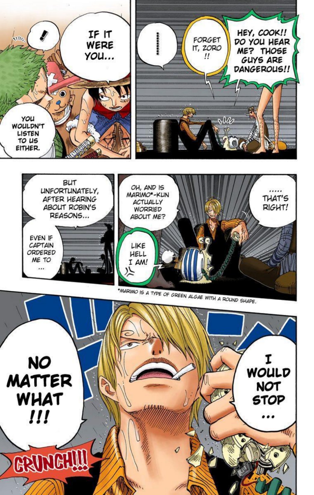 One Piece Volume 38 Page 174