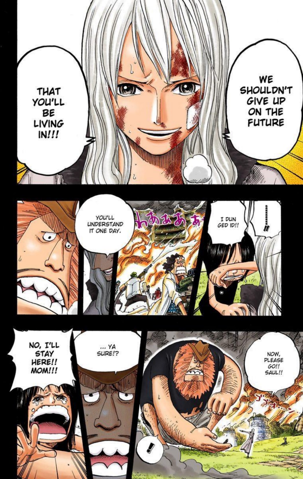 One Piece Volume 41 Page 137