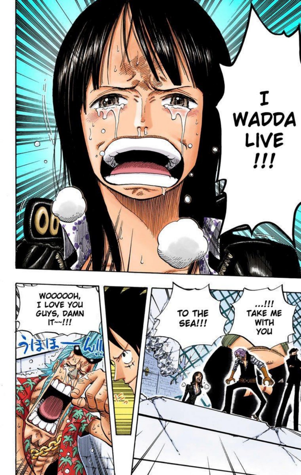 One Piece Volume 41 Page 181