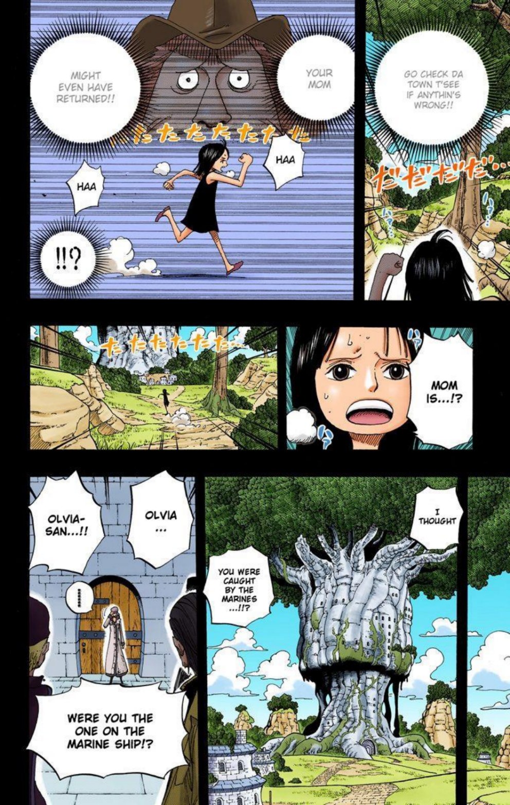 One Piece Volume 41 Page 80