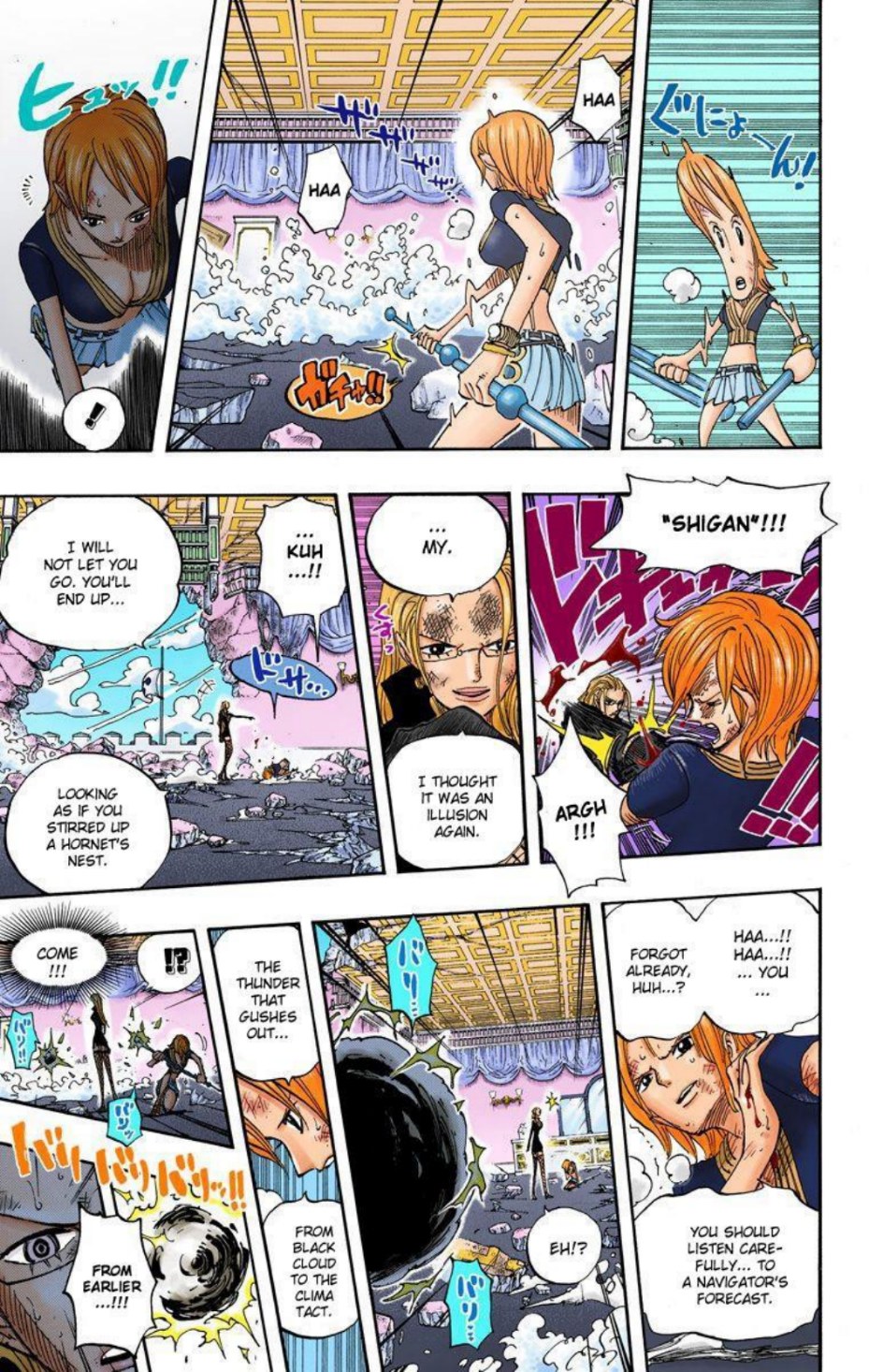 One Piece Volume 43 Page 44