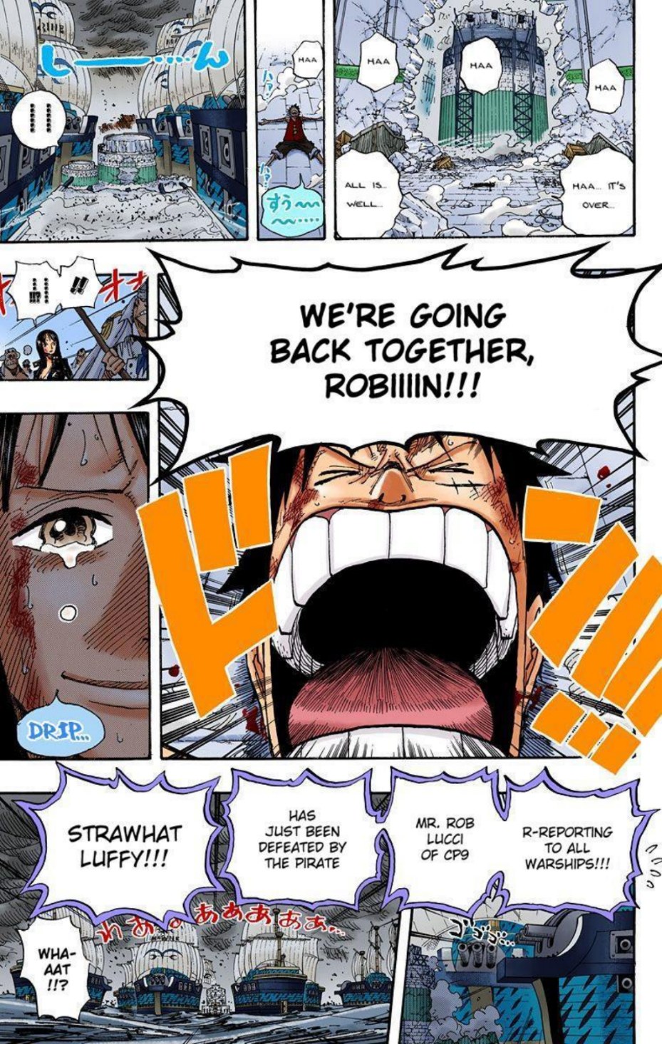 One Piece Volume 44 Page 141