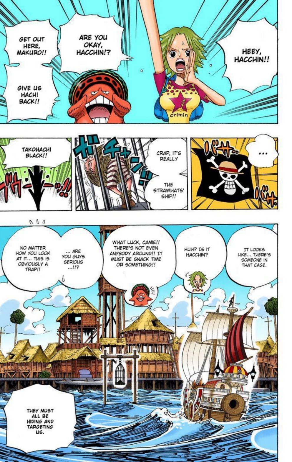 One Piece Volume 51 Page 12