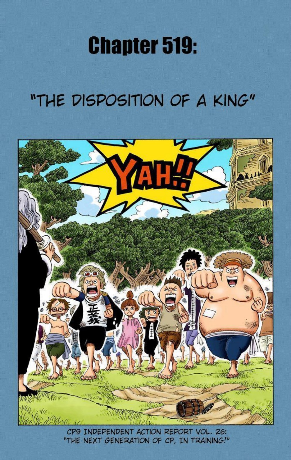 One Piece Volume 53 Page 111