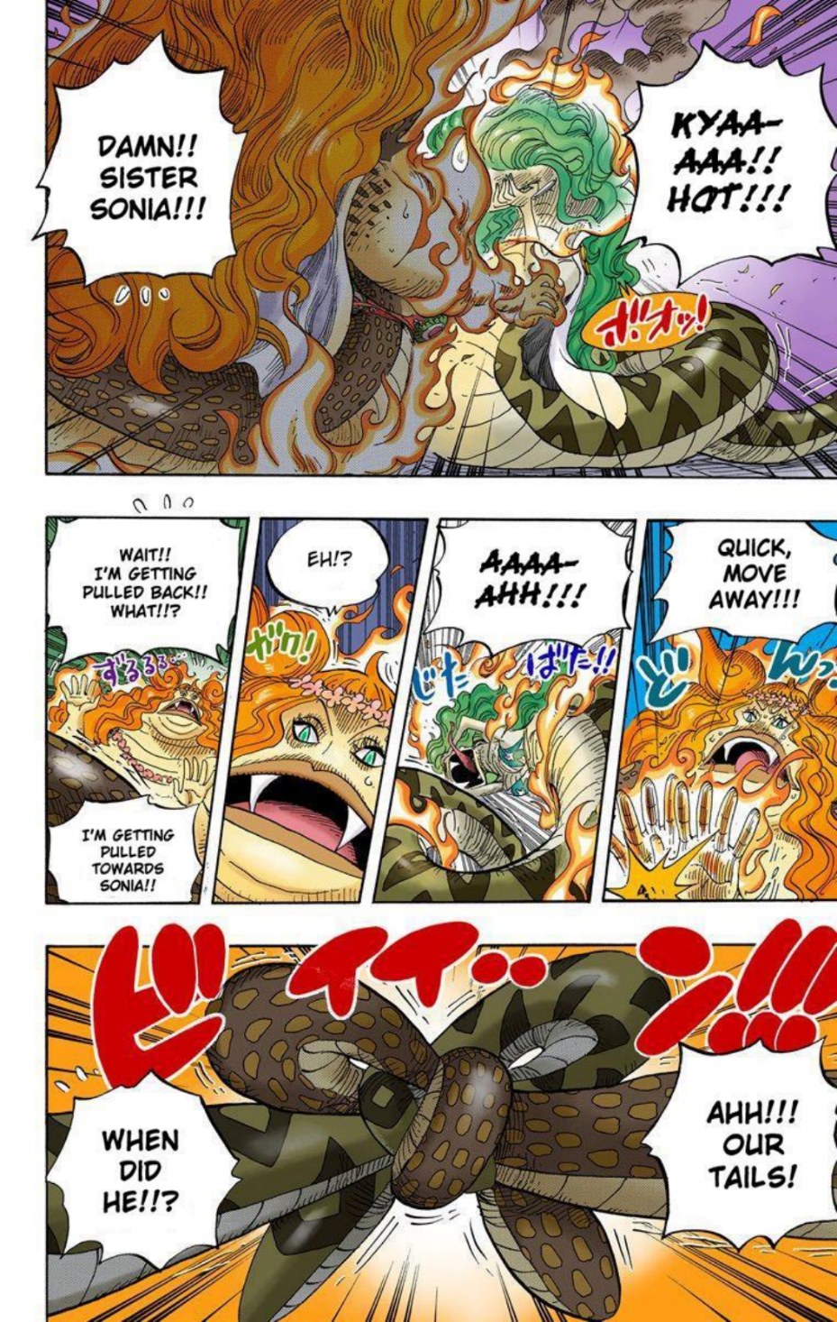 One Piece Volume 53 Page 141