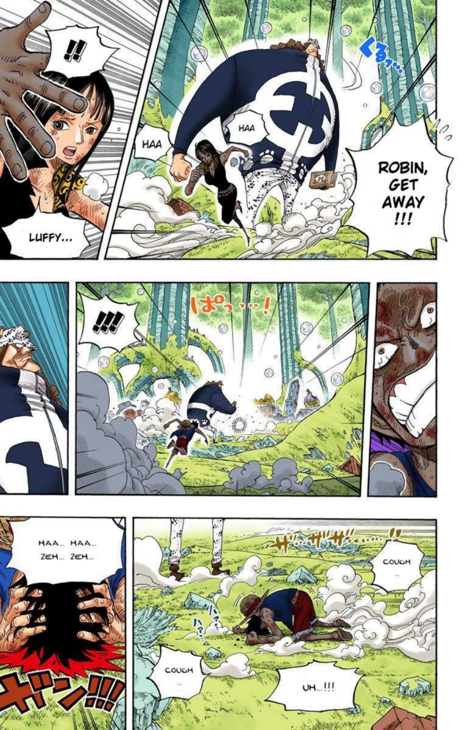 One Piece Volume 53 Page 17