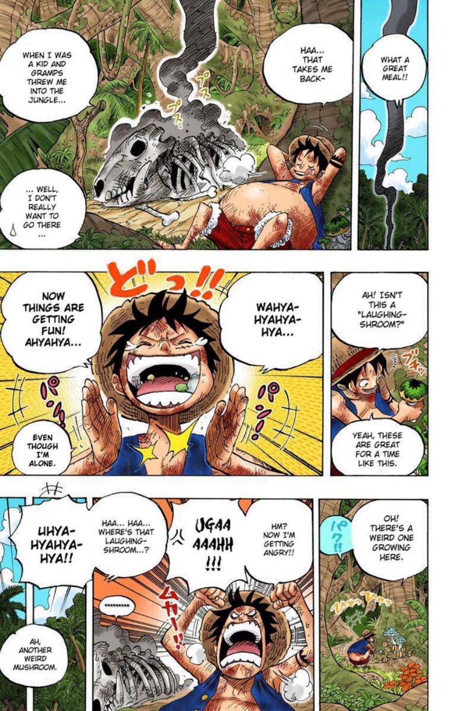 One Piece Volume 53 Page 31