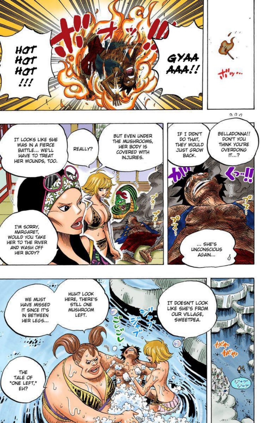 One Piece Volume 53 Page 35