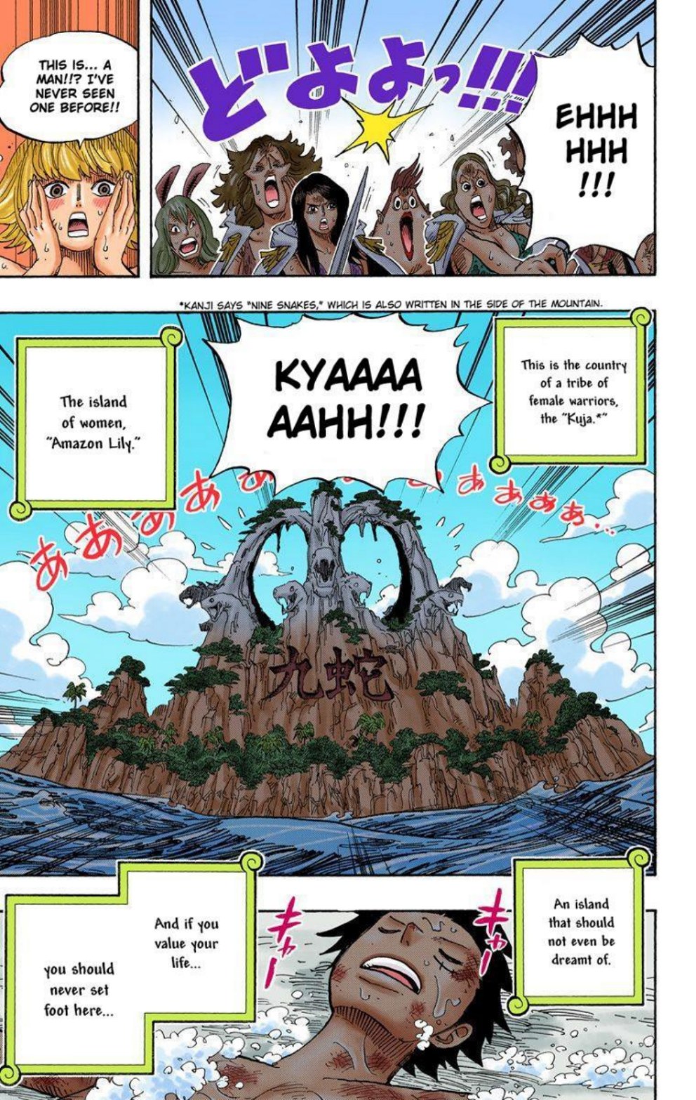 One Piece Volume 53 Page 37