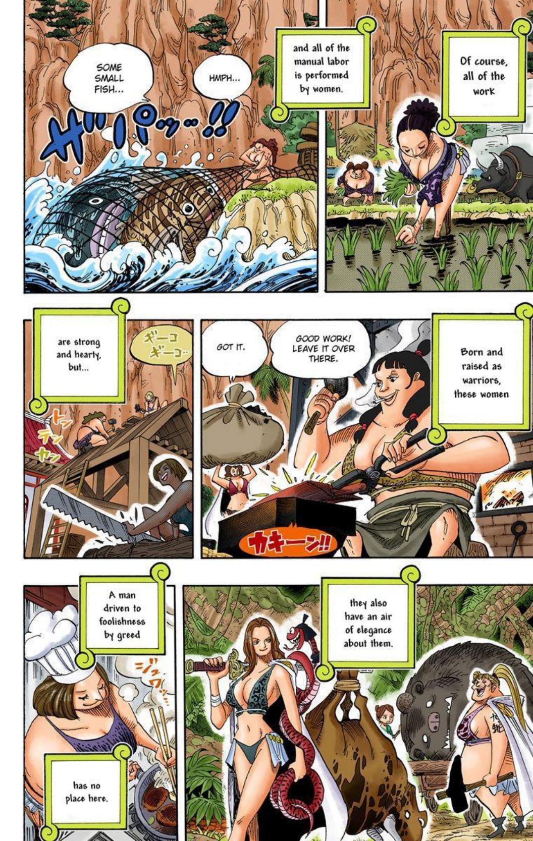 One Piece Volume 53 Page 40