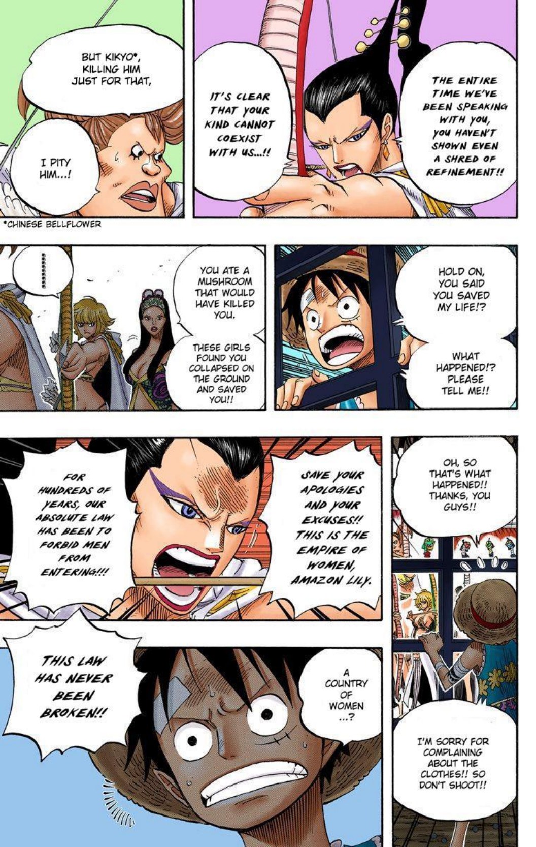One Piece Volume 53 Page 47