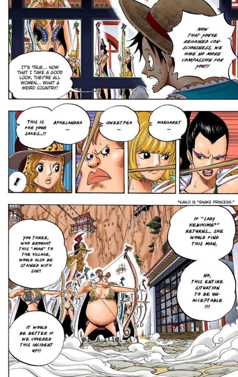 One Piece Volume 53 Page 48