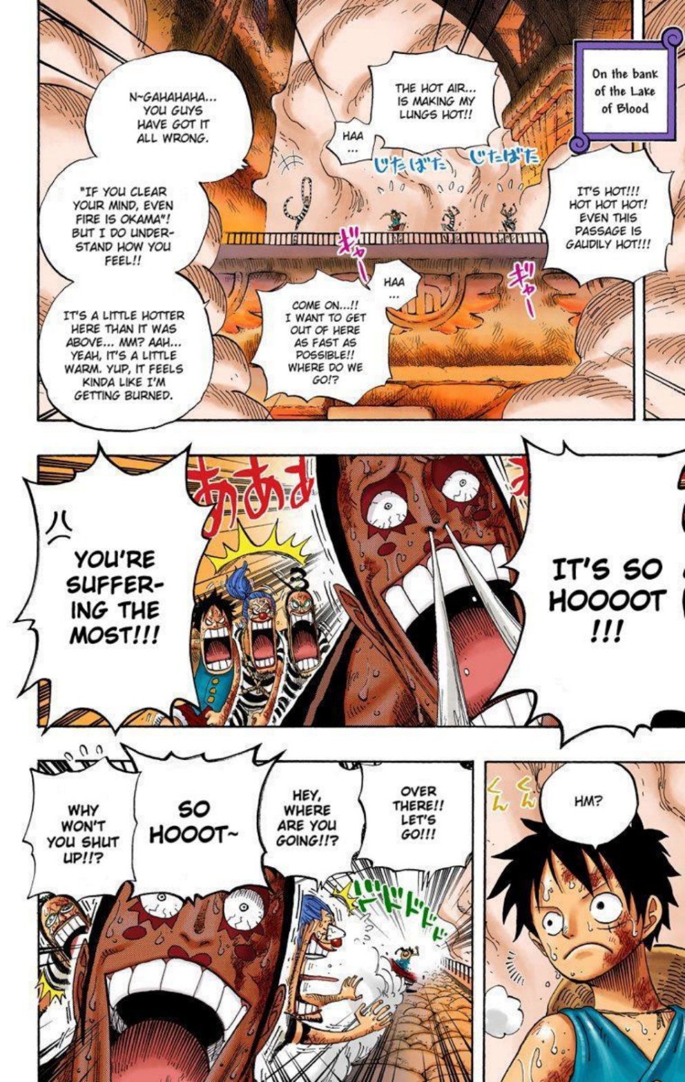 One Piece Volume 55 Page 13