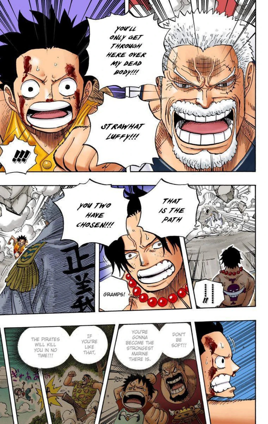 One Piece Volume 58 Page 110