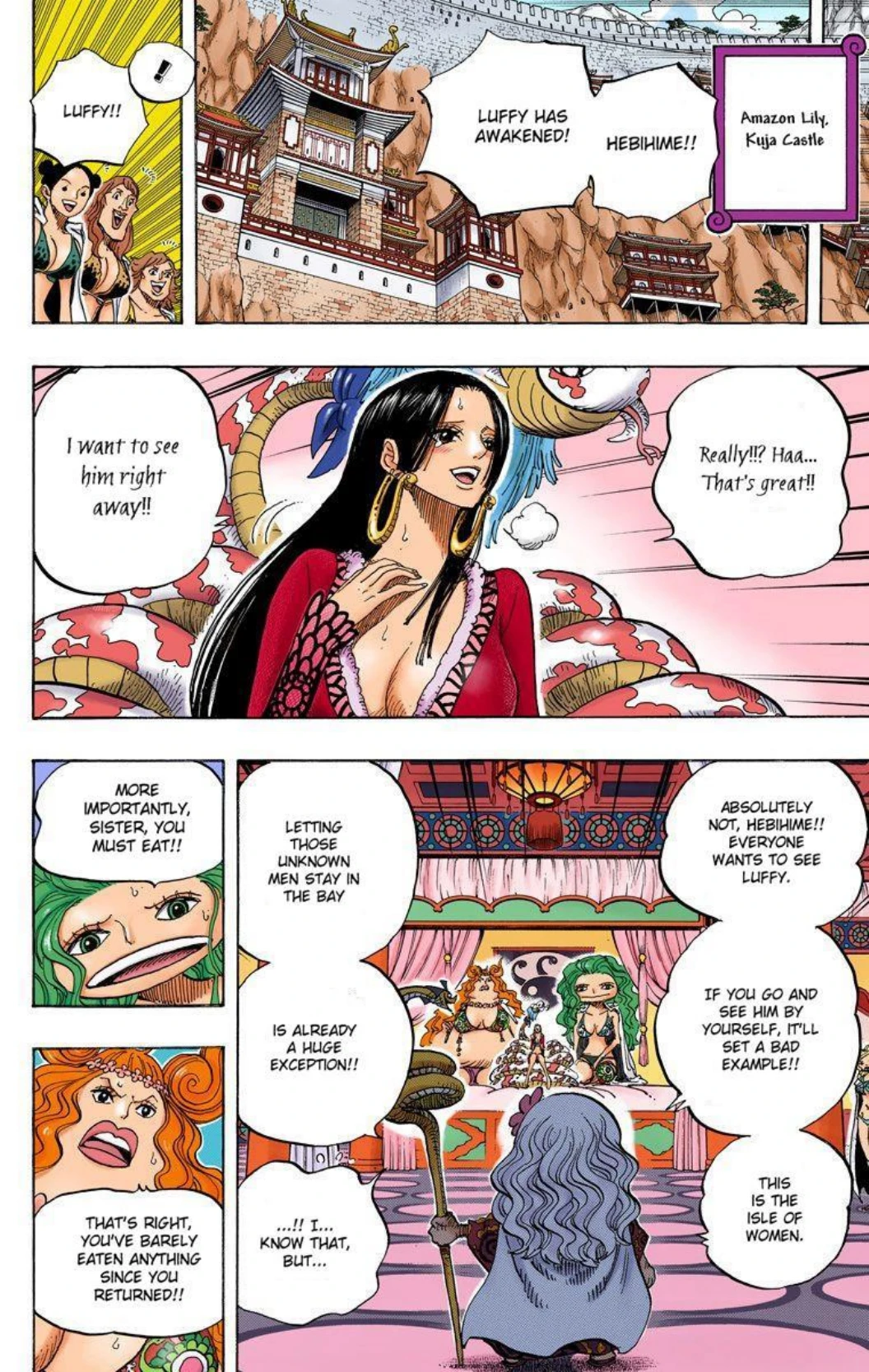 One Piece Volume 59 Page 116