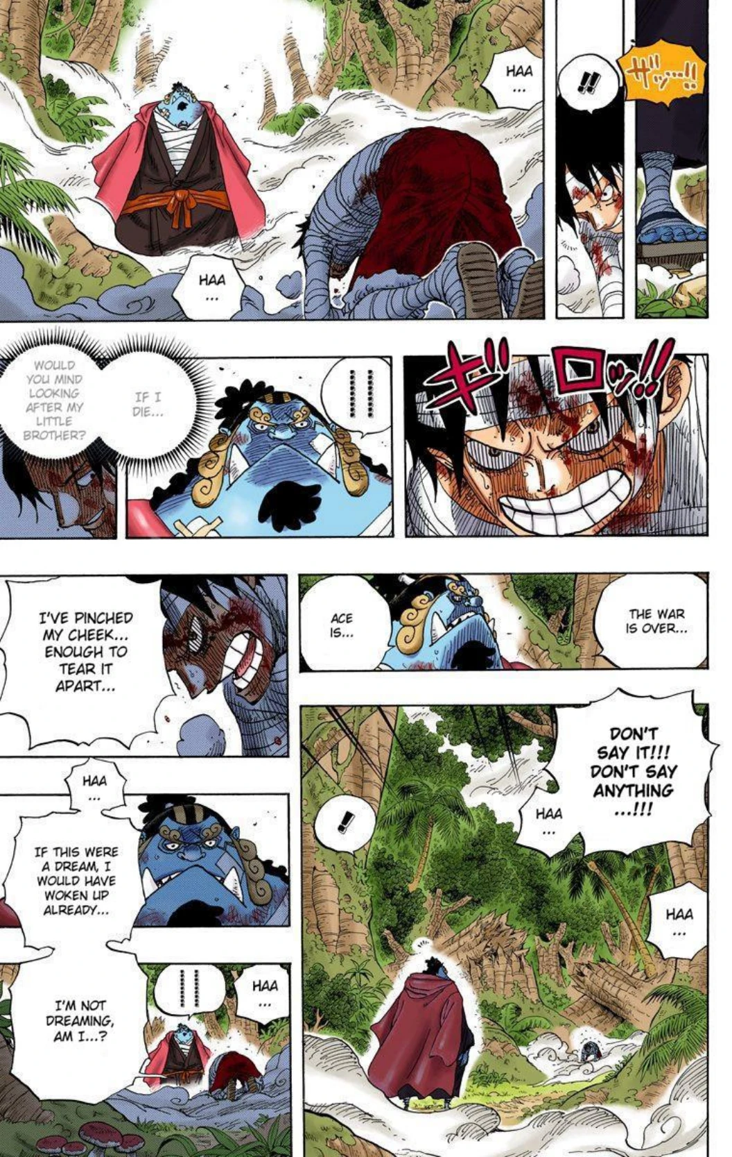 One Piece Volume 59 Page 123
