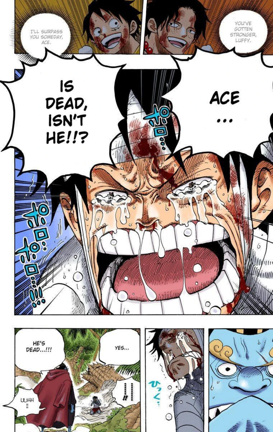 One Piece Volume 59 Page 124