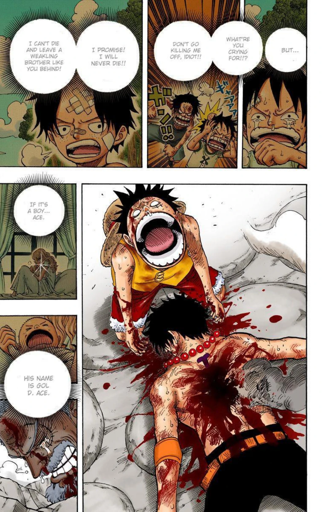 One Piece Volume 59 Page 16