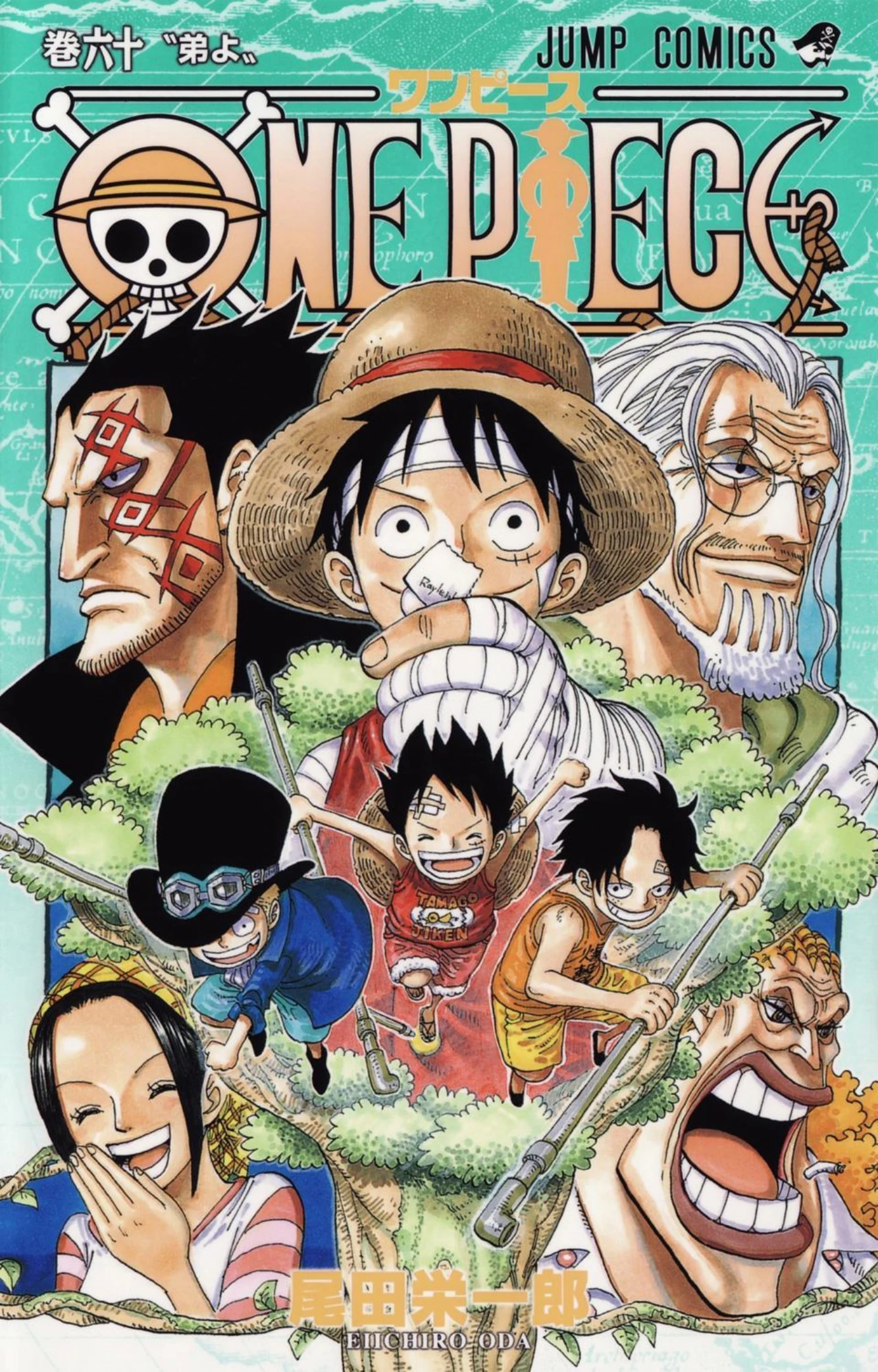One Piece Volume 60 Page 1