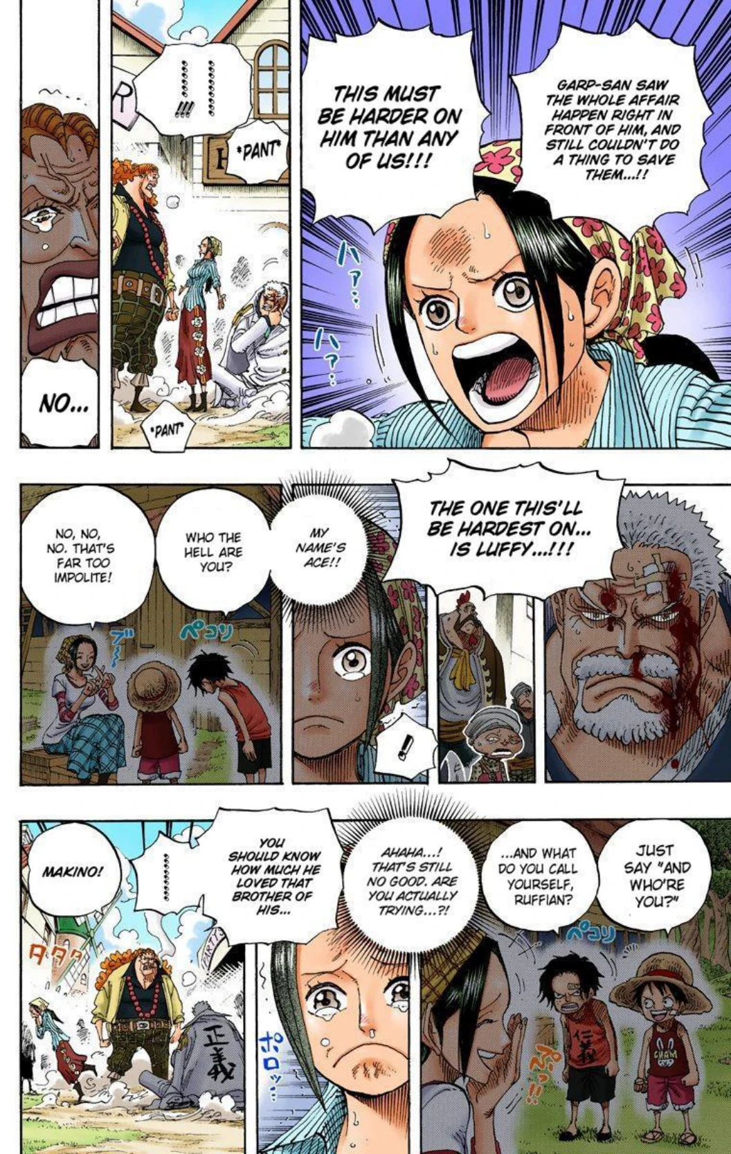 One Piece Volume 60 Page 101