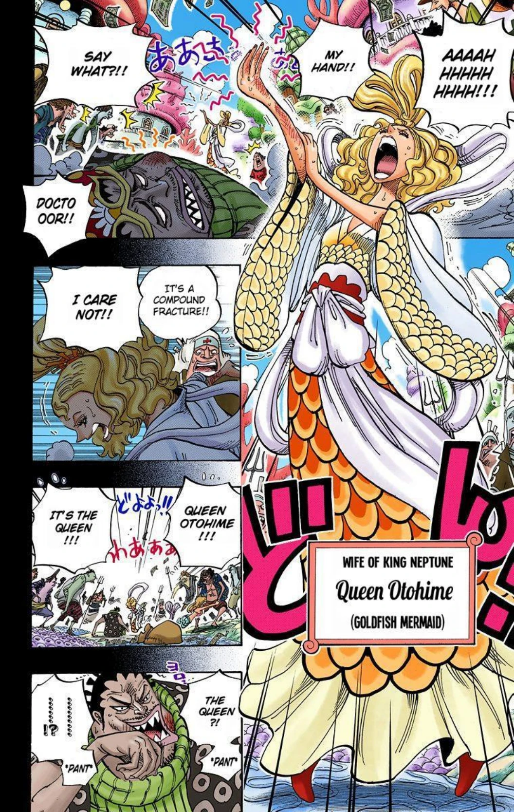 One Piece Volume 63 Page 102