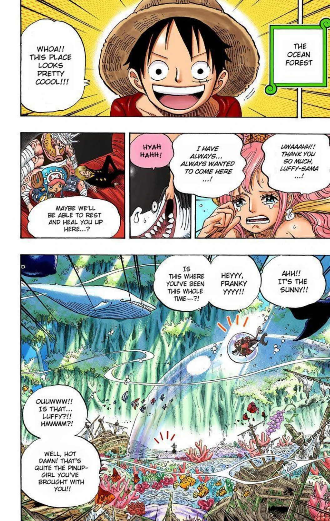 One Piece Volume 63 Page 74