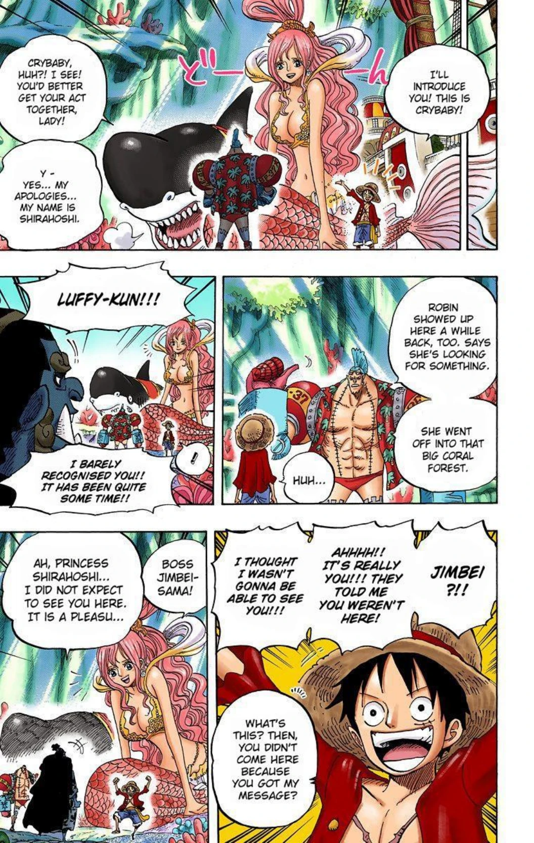 One Piece Volume 63 Page 75