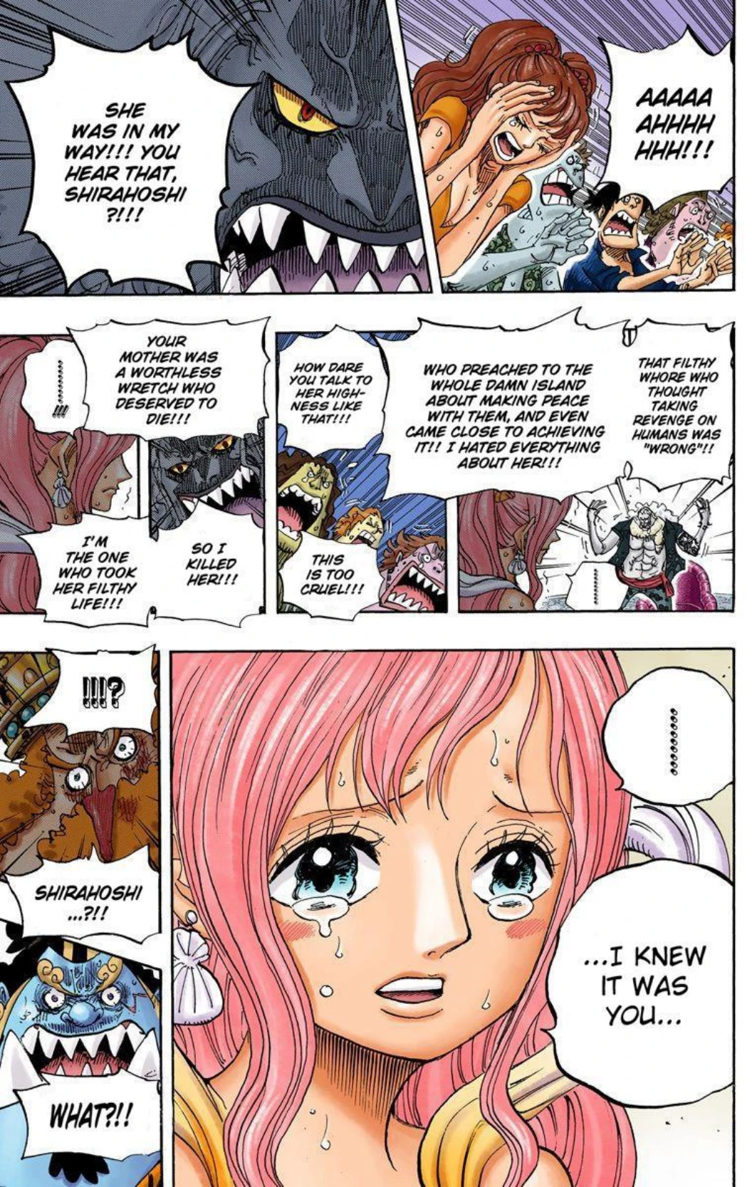 One Piece Volume 64 Page 104