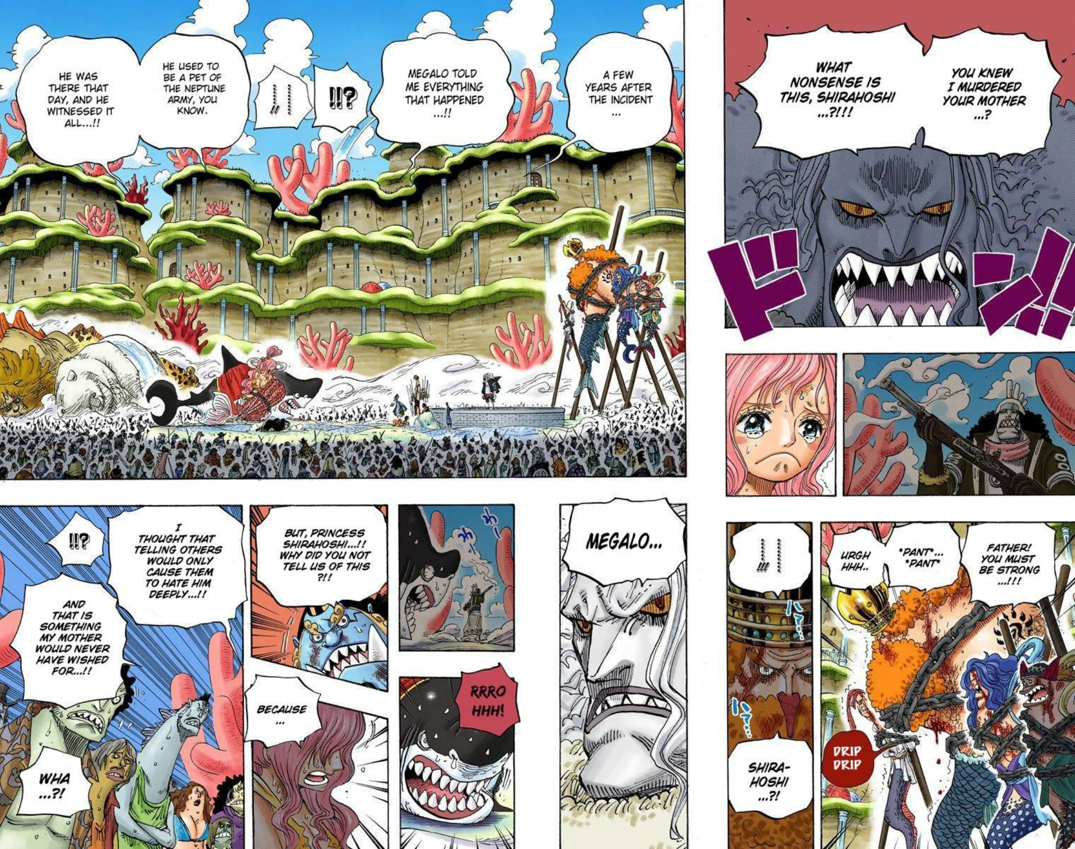 One Piece Volume 64 Page 107