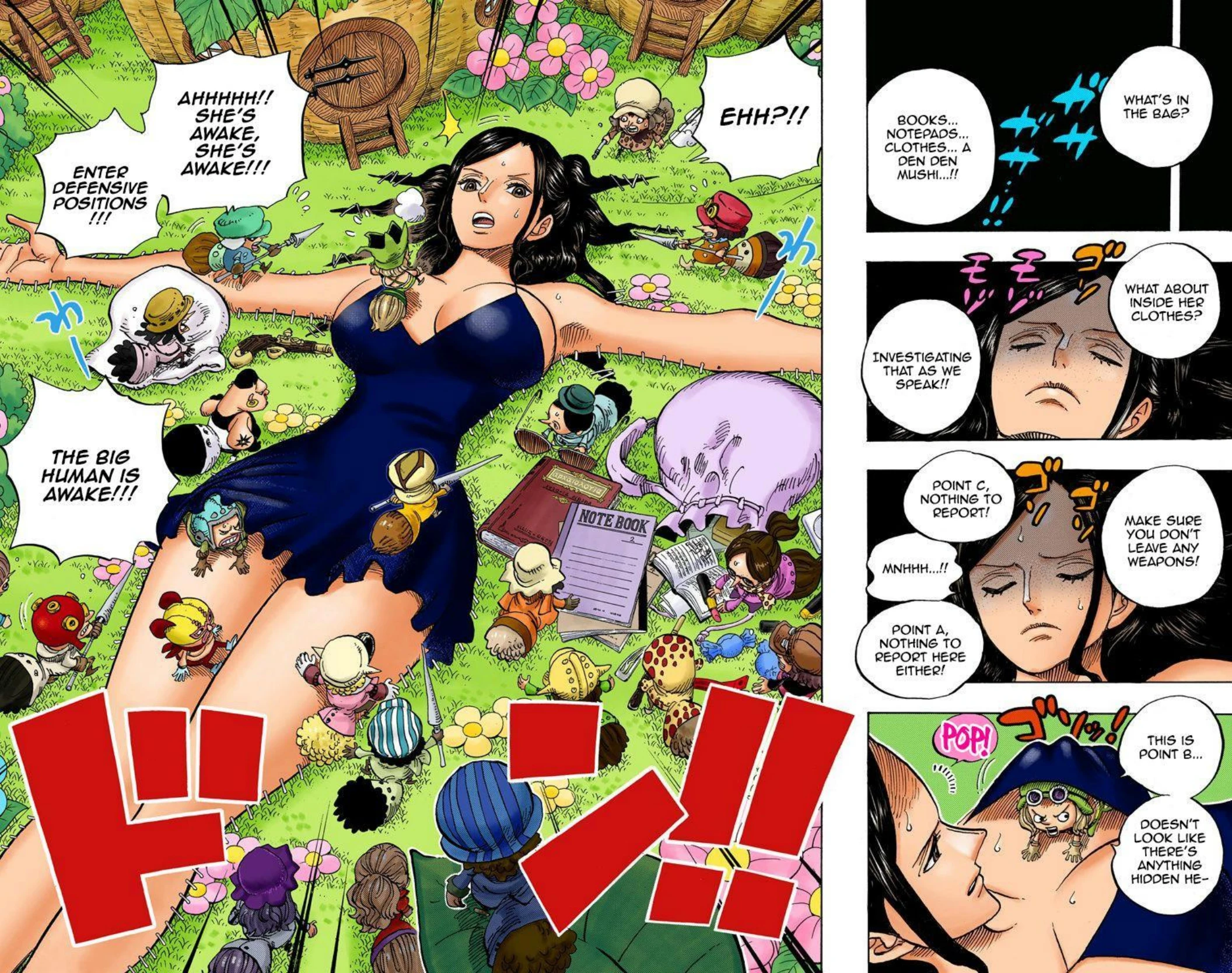 One Piece Volume 71 Page 171