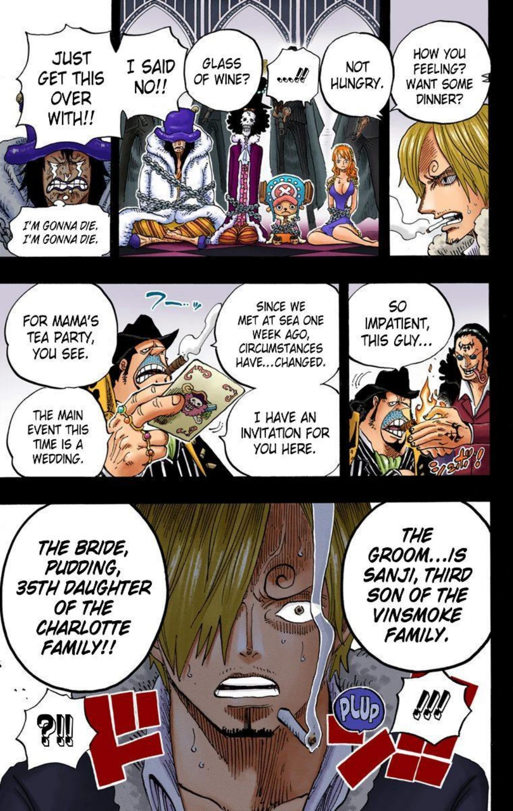 One Piece Volume 81 Page 100