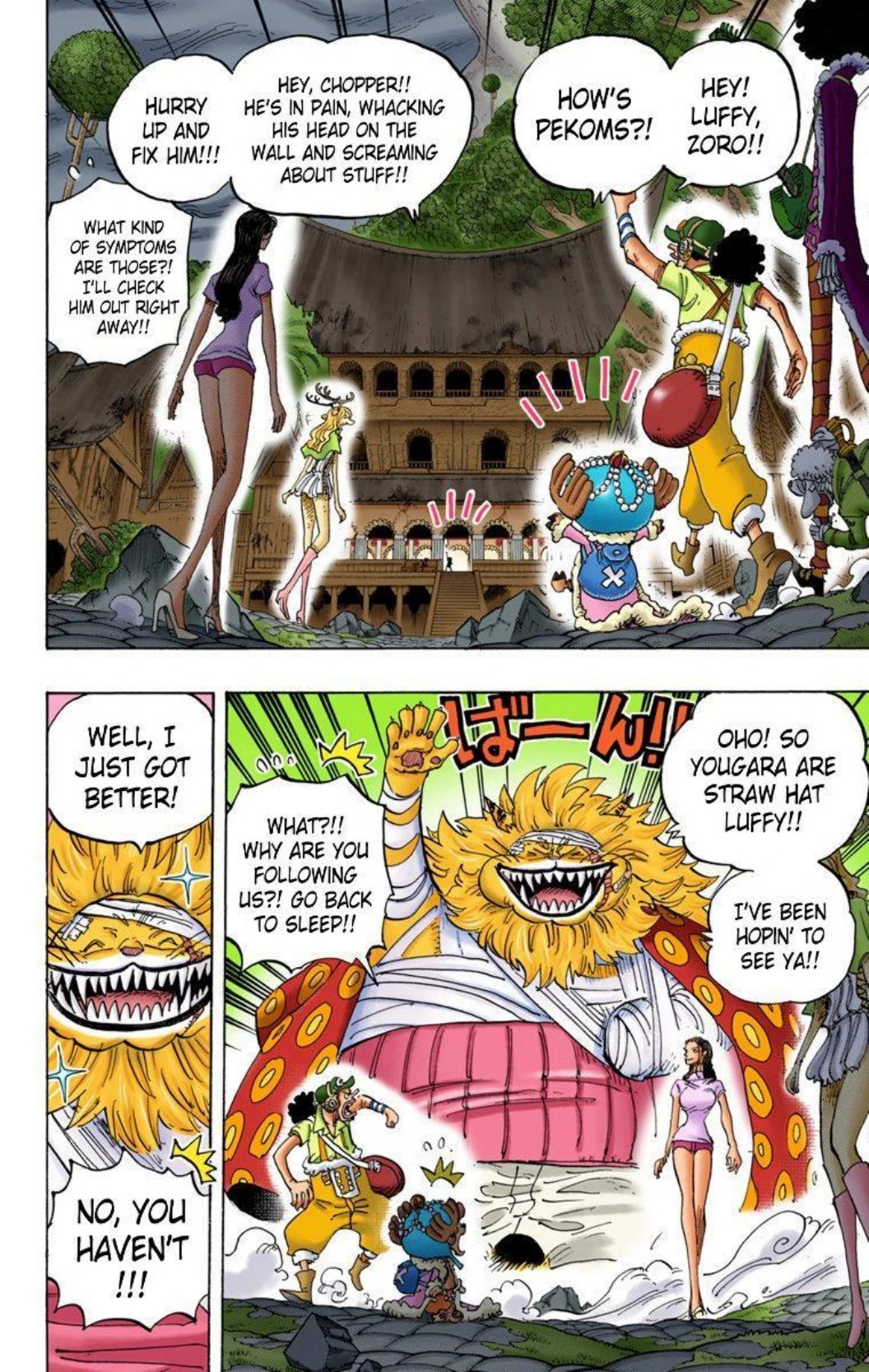 One Piece Volume 81 Page 143