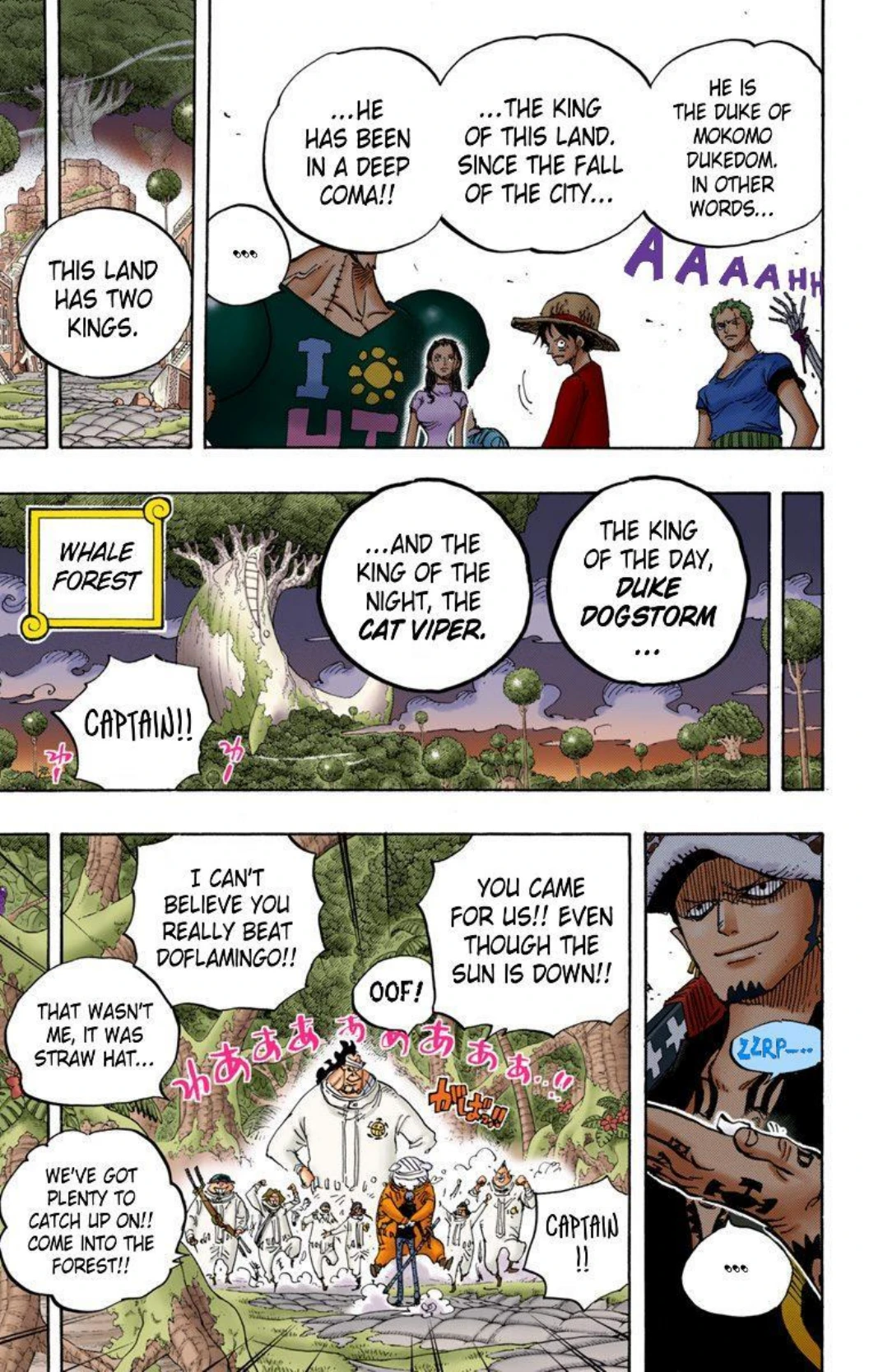 One Piece Volume 81 Page 16