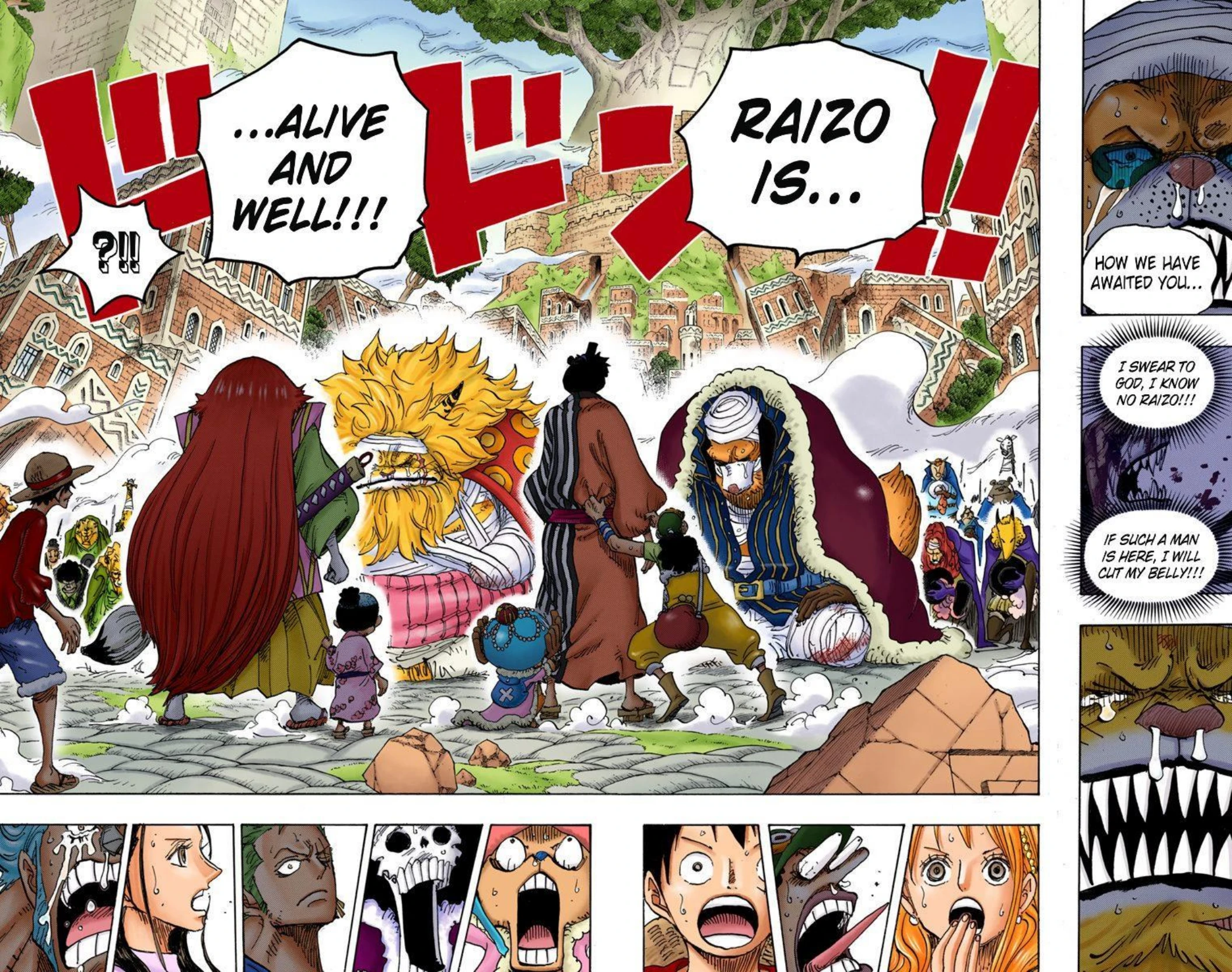 One Piece Volume 81 Page 164